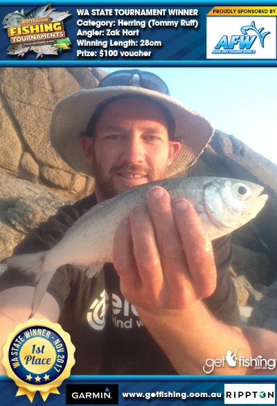 Herring (Tommy Ruff) 28cm Zak Hart Anglers Fishing World $100 voucher