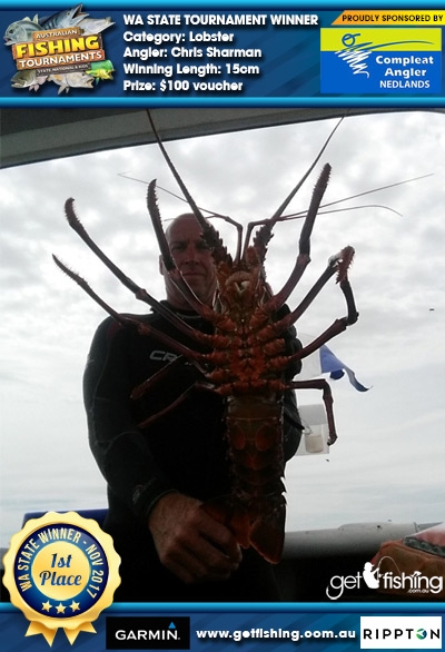 Lobster 15cm Chris Sharman Compleat Angler Nedlands $100 voucher
